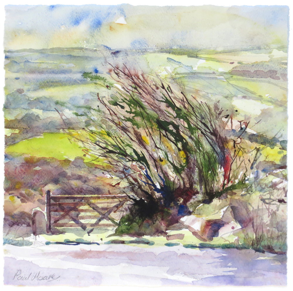 'It could only be Cornwall' painting by Paul Hoare